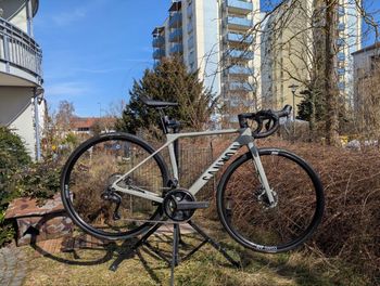 Canyon, Endurace CF SL 8 Di2 2022