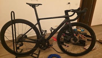 Brugt Colnago V4Rs Disc Ultegra Di2 8100 w/Fulcrum Racing Wind 400 Wheels 2024 2024 Road & Gravel