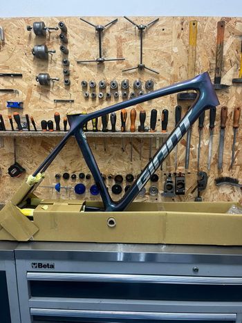 Giant, TCR Advanced Pro Disc 0 Di2 2024 Frameset