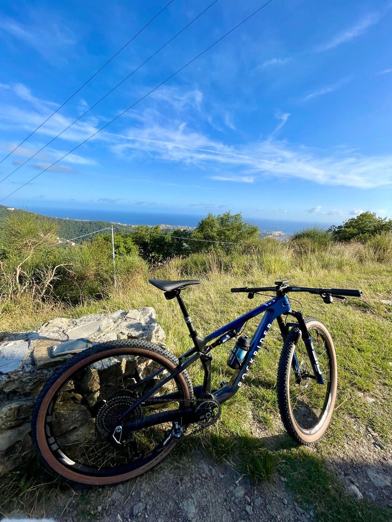 Brugt ROCKRIDER RACE 940 S LTD 2025 Mountainbike — billede 1 af 8
