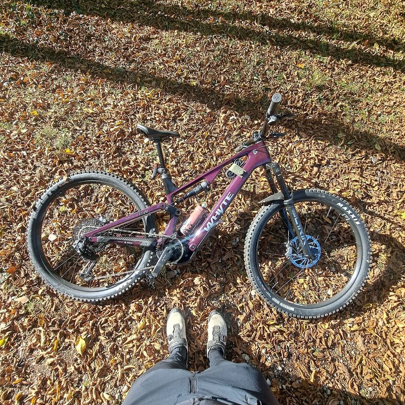 Käytetty Whyte ELyte EVO RS 2025 2025 Mountainbike — kuva 2 / 3