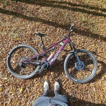 Whyte, ELyte EVO RS 2025