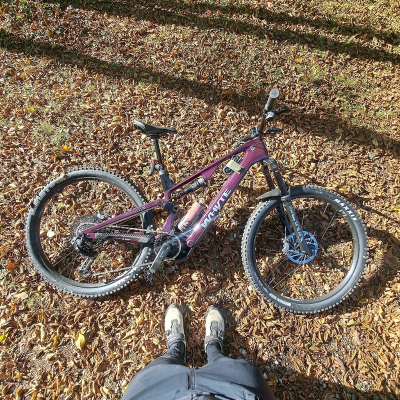 Käytetty Whyte ELyte EVO RS 2025 2025 Mountainbike — kuva 1 / 3