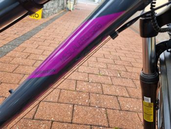 Used Morrison Morrison Custom Shimano 105 2023 Youth, Purple — image 2 of 10