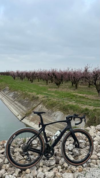 Pinarello, Grevil Shimano Ultegra Di2