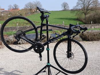 Canyon, Endurace CF 7 2026