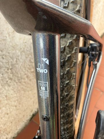 Used BMC Twostroke SRAM X01 Eagle 2024 Mountainbike, Light Gray, 29 — image 2 of 11