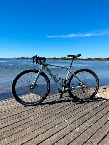 Used Canyon Grizl Shimano Sora 2024 Road & Gravel, Green — image 1 of 9