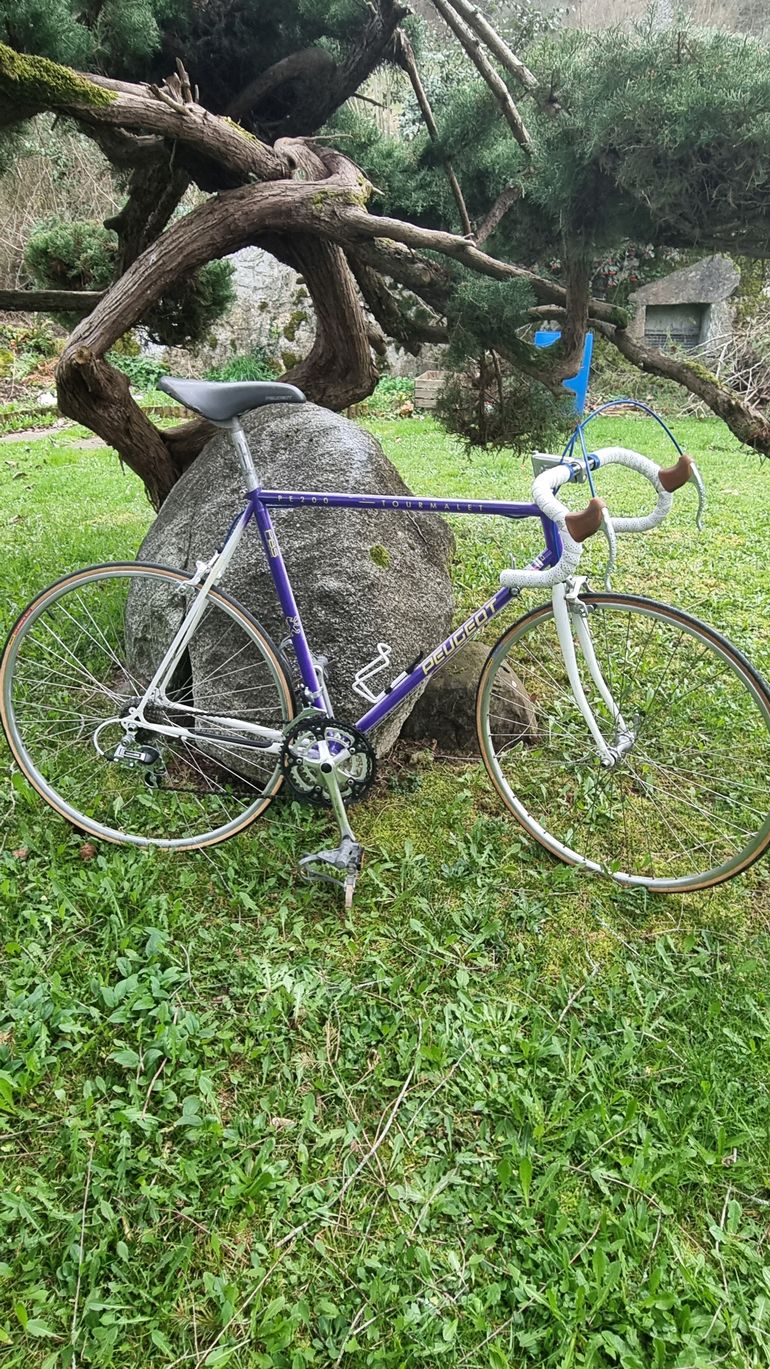 vélo Course Peugeot Tourmalet / Size 54 / Mint Condition