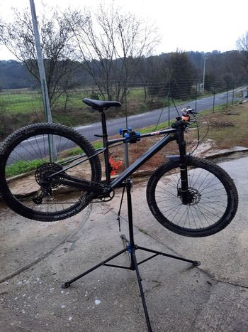 Used Scott Scale 970 grey (TW) 2024 2024 Mountainbike, Light Gray, 29 — image 1 of 18