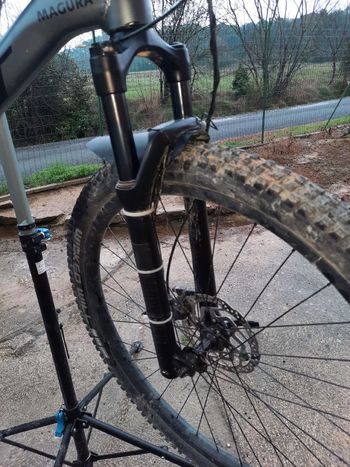 Used Scott Scale 970 grey (TW) 2024 2024 Mountainbike, Light Gray, 29 — image 4 of 18