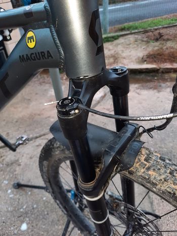 Used Scott Scale 970 grey (TW) 2024 2024 Mountainbike, Light Gray, 29 — image 15 of 18