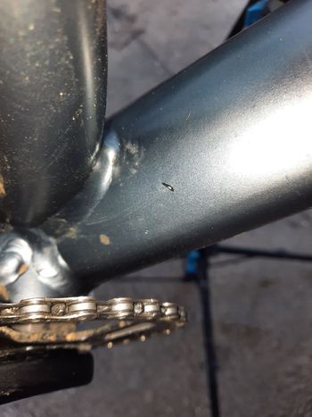 Used Scott Scale 970 grey (TW) 2024 2024 Mountainbike, Light Gray, 29 — image 9 of 18