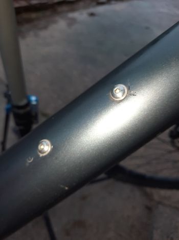 Used Scott Scale 970 grey (TW) 2024 2024 Mountainbike, Light Gray, 29 — image 6 of 18