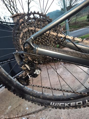 Used Scott Scale 970 grey (TW) 2024 2024 Mountainbike, Light Gray, 29 — image 2 of 18