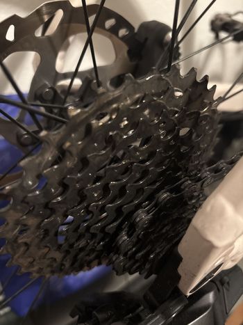Used Canyon Grizl 7 2024 2024 Road & Gravel — image 10 of 12