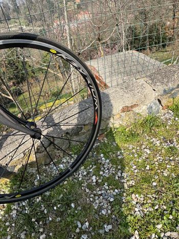 Used Bianchi Bianchi Custom Shimano Ultegra 2008 Road & Gravel — image 7 of 9
