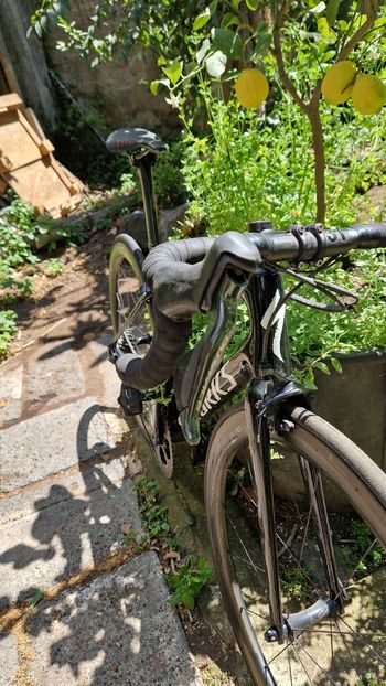 Used Specialized Tarmac Shimano Dura Ace Di2 2019 Road & Gravel, Black — image 31 of 39
