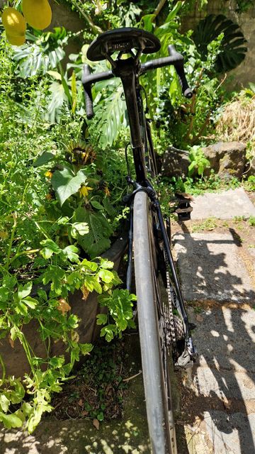 Used Specialized Tarmac Shimano Dura Ace Di2 2019 Road & Gravel, Black — image 33 of 83