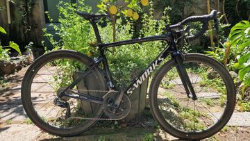 Used Specialized Tarmac Shimano Dura Ace Di2 2019 Road & Gravel, Black — image 30 of 83