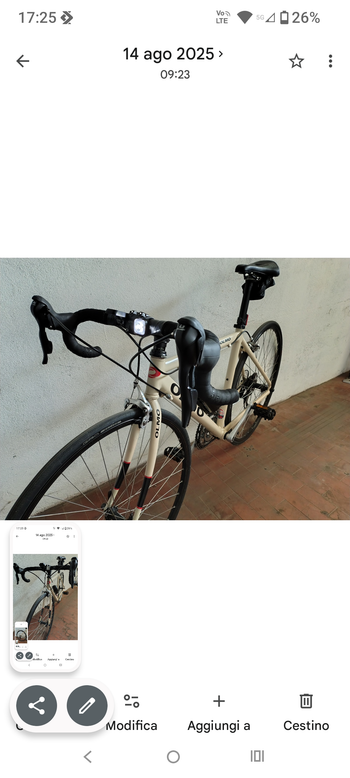 Used Olmo Dynamic 2000 Road & Gravel, Light Gray — image 4 of 5