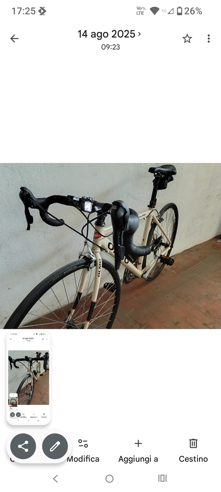 Used Olmo Dynamic 2000 Road & Gravel, Light Gray — image 4 of 5