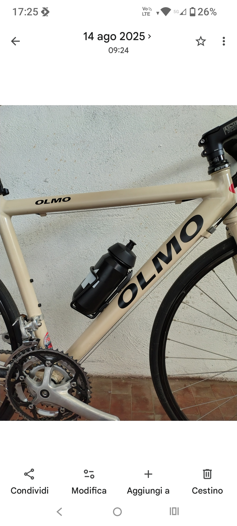 Used Olmo Dynamic 2000 Road & Gravel, Light Gray — image 1 of 5