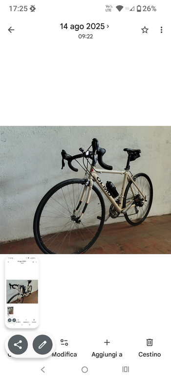 Used Olmo Dynamic 2000 Road & Gravel, Light Gray — image 2 of 5