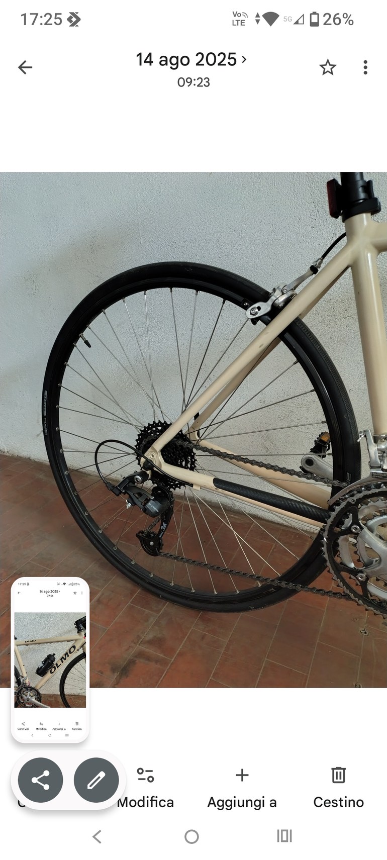 Used Olmo Dynamic 2000 Road & Gravel, Light Gray — image 5 of 5