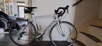 Batavus, Course Tiagra Ca. 2011