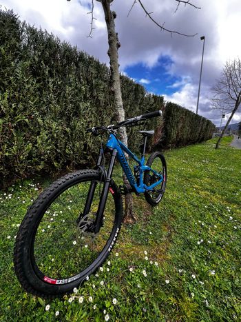 Transition, Sentinel Shimano Deore XT
