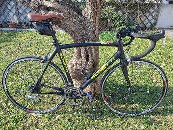 Bonetti, Bonetti Custom Campagnolo Veloce
