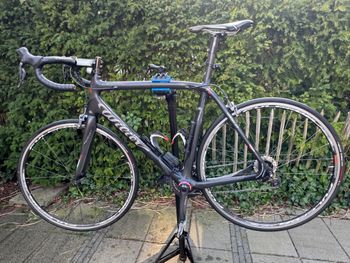 Willier, Wielier 101 (cento Uno)  (carbon 46TON)