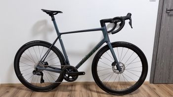 Giant, TCR Advanced SL 1 2025