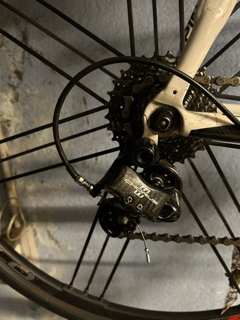 Used Pinarello Paris Campagnolo Record 2004 Road & Gravel, Weiß — image 2 of 8