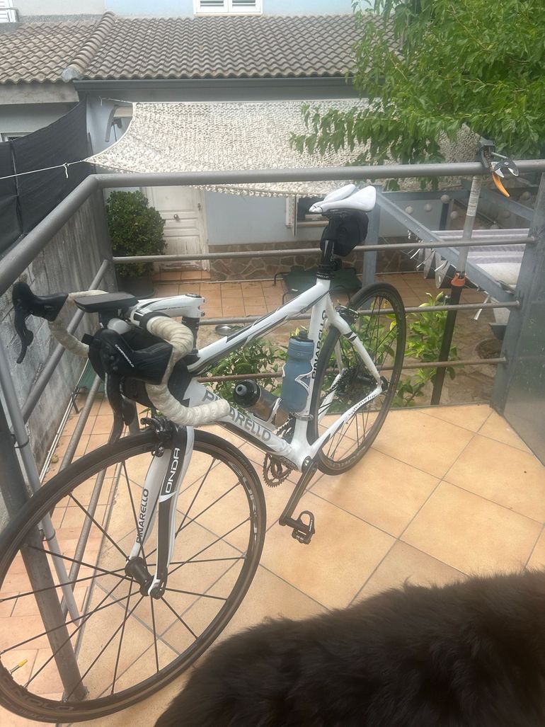 Used Pinarello Paris Campagnolo Record 2004 Road & Gravel, Weiß — image 1 of 8