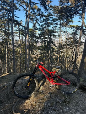 Brugt Specialized Demo Race 2023 Frameset 2023 MTB