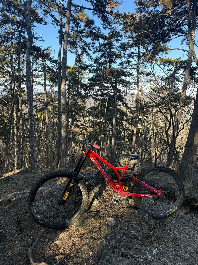 Used Specialized Demo Race 2023 Frameset 2023 Mountainbike, Red, 29 — image 1 of 3
