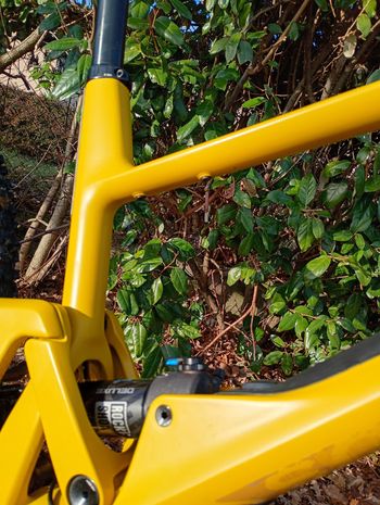 Used SCOR 2030 Frameset 2024 Mountainbike, Orange — image 2 of 3
