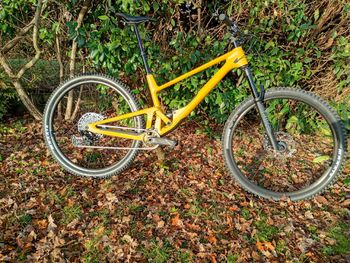 Used SCOR 2030 Frameset 2024 Mountainbike, Orange — image 1 of 3