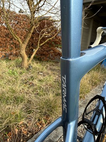 Used Specialized S-Works Tarmac SL8 - Shimano Dura-Ace Di2 2024 2024 Road & Gravel, Blue — image 5 of 10