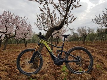 Used Giant Reign E+ 0 Pro 2020 2020 Mountainbike, Black, 27.5 (650B) — image 1 of 5