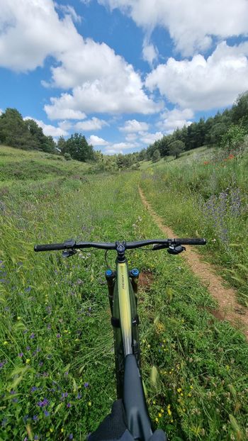 Used Giant Reign E+ 0 Pro 2020 2020 Mountainbike, Black, 27.5 — image 5 of 5