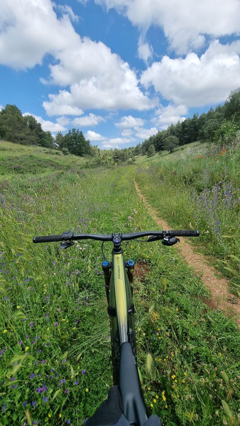 Used Giant Reign E+ 0 Pro 2020 2020 Mountainbike, Black, 27.5 — image 5 of 5