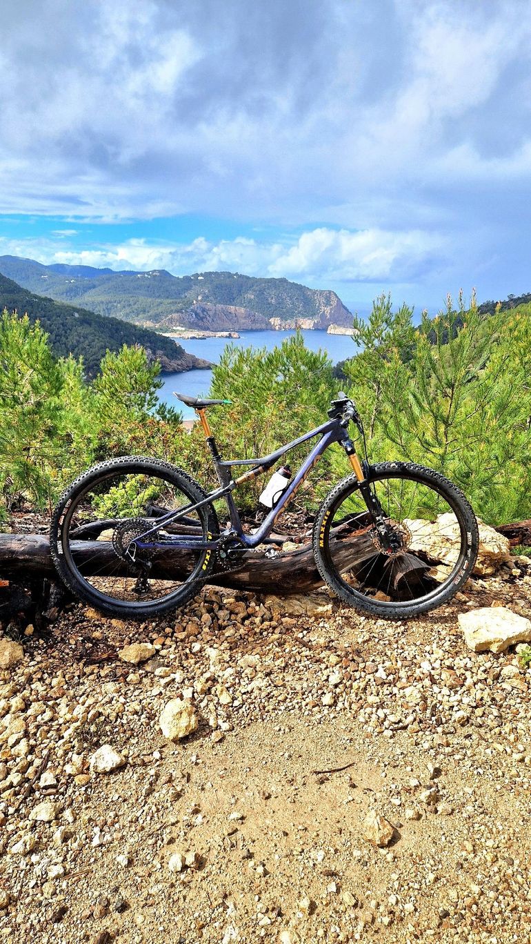 Used Orbea Oiz SRAM X0 Eagle AXS (T-Type) 2023 Mountainbike, Blue — image 17 of 17