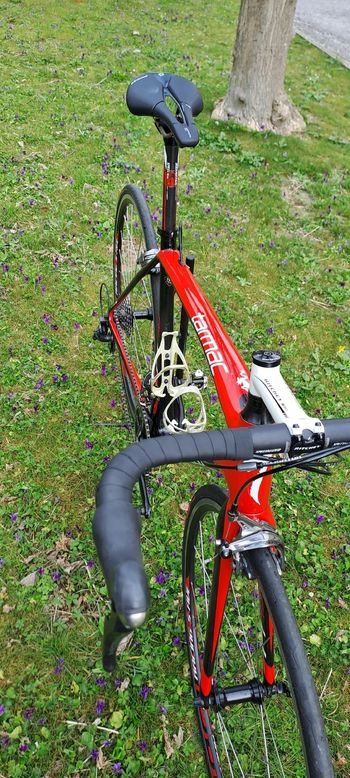 Used Specialized Tarmac Shimano Ultegra 2014 Road & Gravel, Negro — image 6 of 9