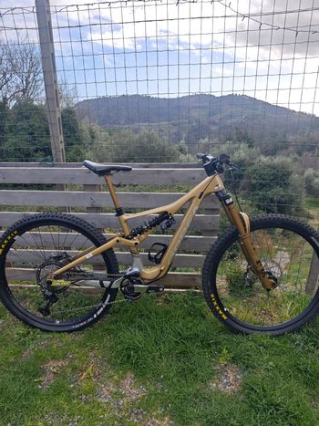 Orbea, RALLON M10 2024