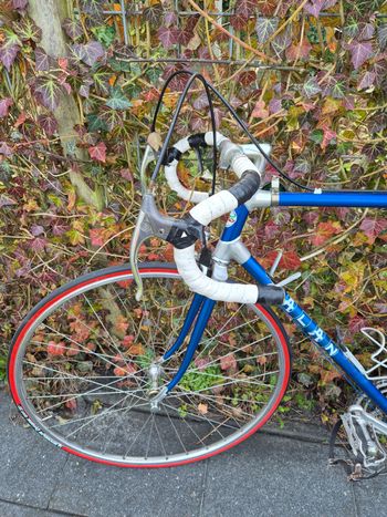 Alan, Campione