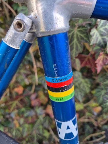 Used Alan Campione 1974 Road & Gravel, Blue — image 11 of 11