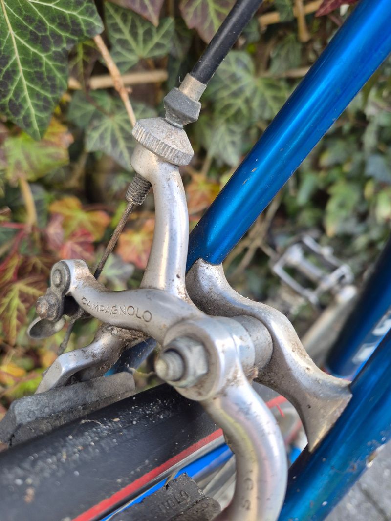 Used Alan Campione 1974 Road & Gravel, Blue — image 2 of 11